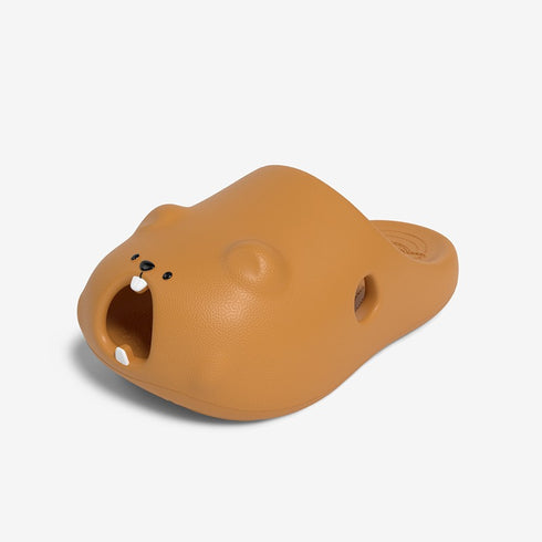 Gopher Slides